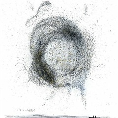 MURMURATION for violin solo / 2015