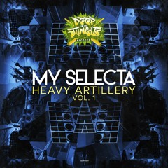 My Selecta - It's On You