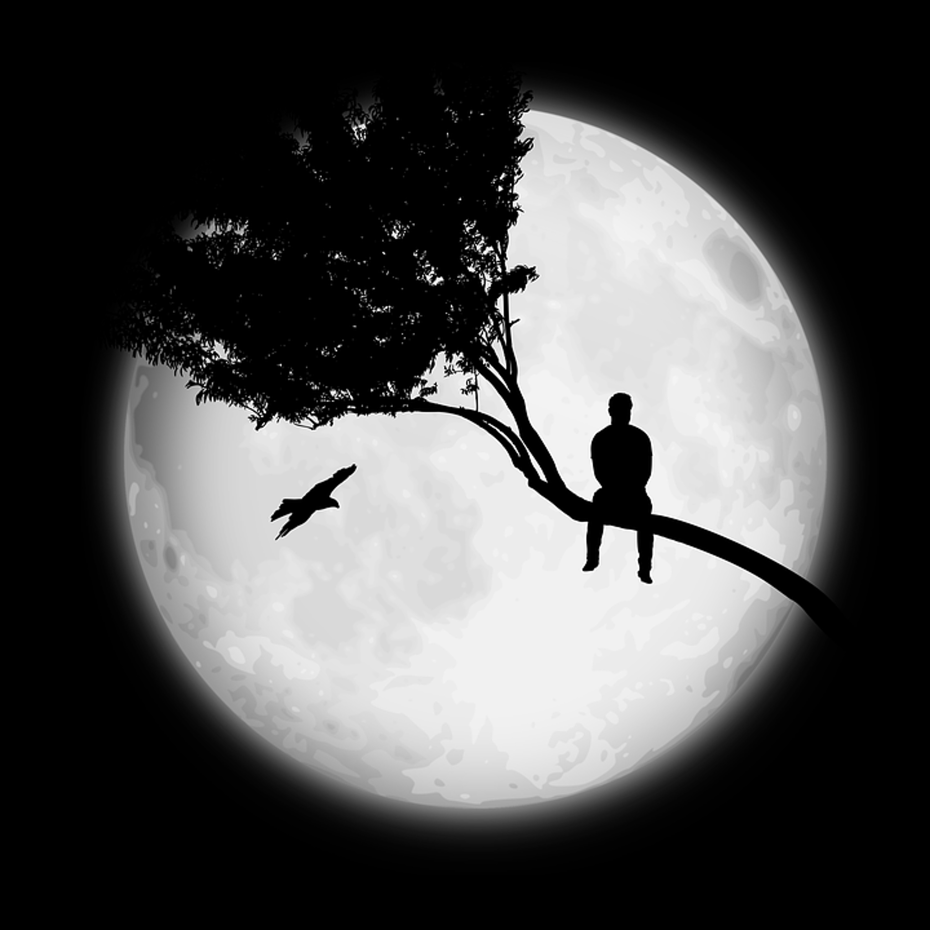 David Boura