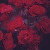 BTS V - STIGMA Korean Cover.mp3