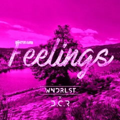 wndrlst & Dr. Ushūu - Feelings
