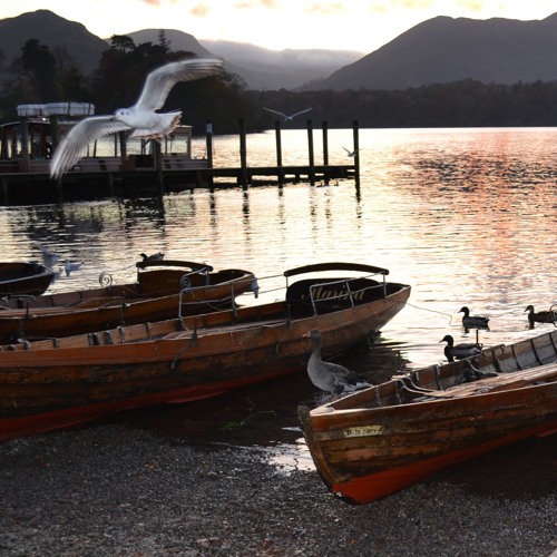 A Musical Story: Chapter 4