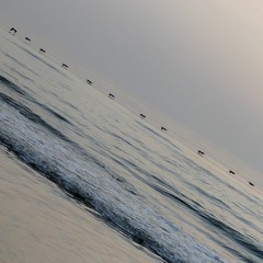 Art Of Envy - Frobotic (1800 Nights Instrumental by Kodak Black)