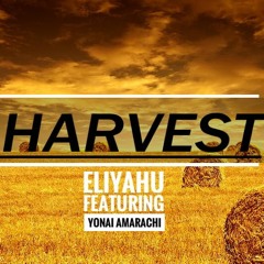 Contemporary Hebrew Music