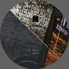B1 - 005.2 (Atipic 005)