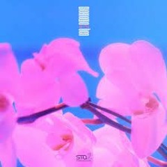 Dream In A Dream // Fokushi