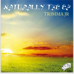 All About D Money-Tr3mma Jr