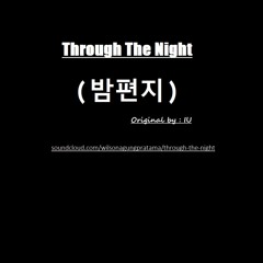 Through the Night / 밤편지 (IU / 아이유) Cover