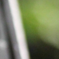 Fav Songs by my Homies