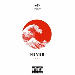 Never Say - MVG