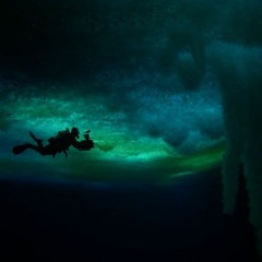 The Night We Met - Lord Heron (Cover)