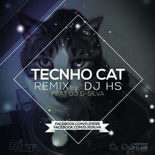 Stream TOM WILSON Techno Cat "Dj HS Rmx" by Dj HS | Listen online for free  on SoundCloud