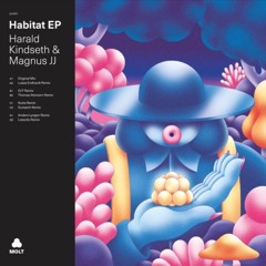 harald kindseth & magnus JJ - habitat (lukas endhardt remix) [rafi:ki instrumental edit]