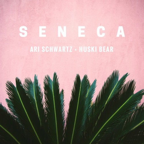 SENECA (Ari Schwartz x Huski Bear)