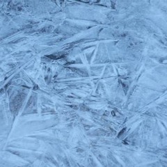 Cold Love (ft Kid Kota)