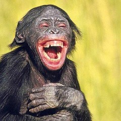 Freaky - Rappen ist nicht 2k18 :D