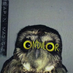 Sapin Magique Ondulor A