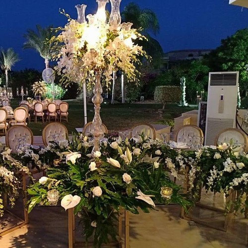 المرايا  (انا قررت اكون سعيده )رودينا ياسين