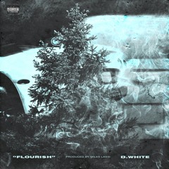 Flouri$h (prod. by Miles Lassi)
