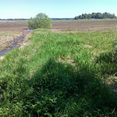 Flacksjon 220518 4 min clip