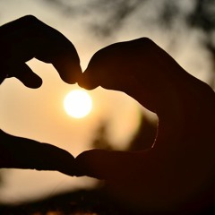 I'll Always Love You (Michael Johnson)