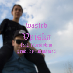 vpiska (feat. tebestydno)