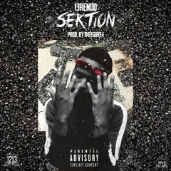 13rendo - Section Prod. 54figure4