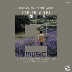 Aurean - Hybrid Minds (Max Freegrant & Slow Fish Remix)[OUT NOW]