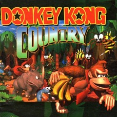 Donkey Kong Country - Nicole Adams feat. Injury - Permutation (Steppo Can't Breathe Mix)