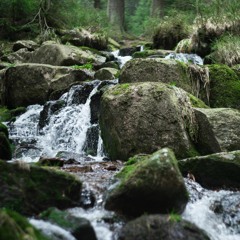 Rivulet