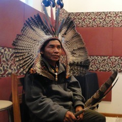 Ana Muka Pauri