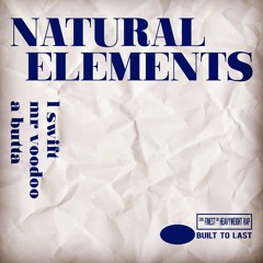 Natural Elements - Built To Last MIX