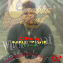 239Kenny - Grabba Leaf (First Day Out)
