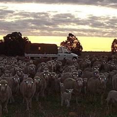 SCHOOL SPIRIT!? by ANONXMOUS