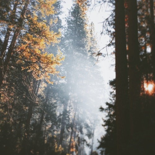 NYLOW -On Your Way Down(feat.Eesha Chopra)