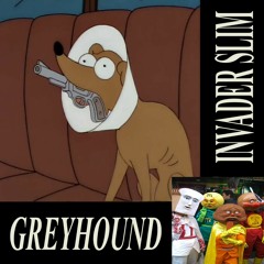 greyHOUND