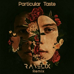 Shawn Mendes - Particular Taste (RaveliX Remix)
