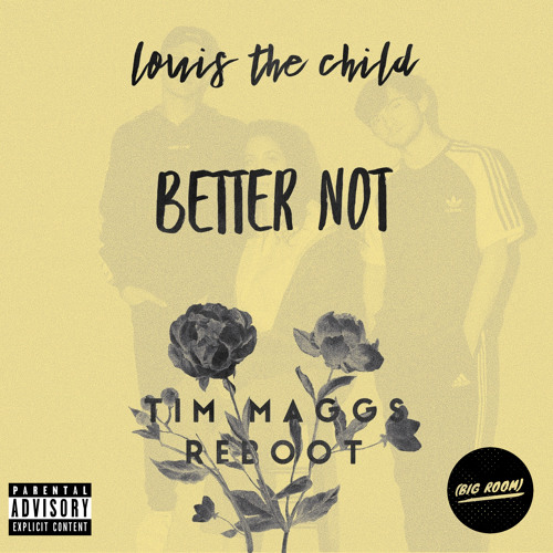 Better Not (Tim Maggs Remix)