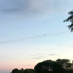 cotton candy