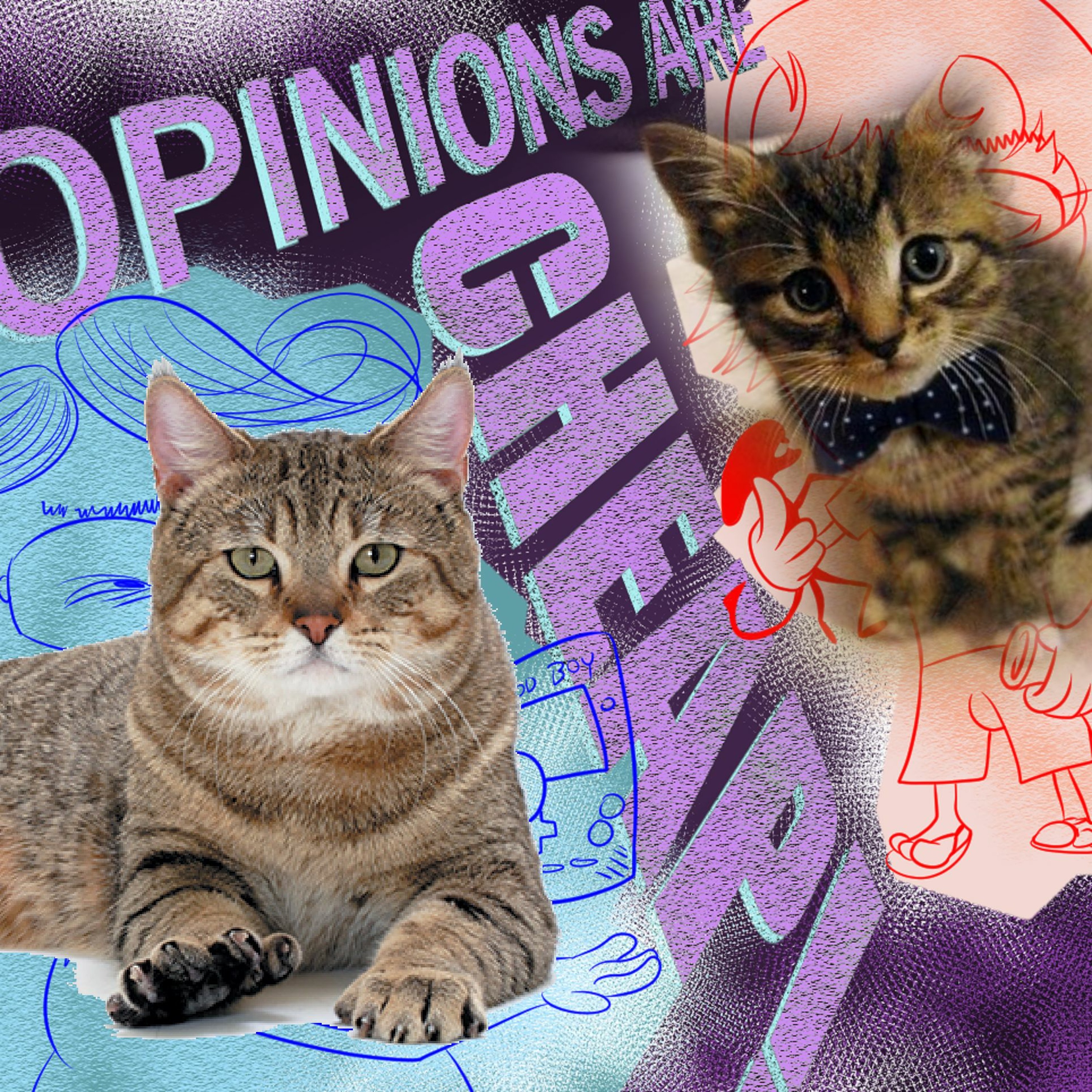 Episode 38 - Cat Special Annual 2018 episode artwork