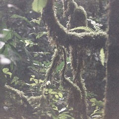 FEVERDREAM w/ boyblue