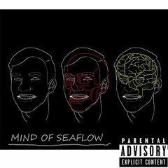 mind of seaflow.