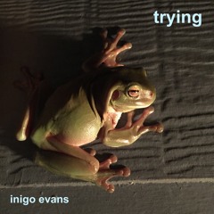 Trying-demo