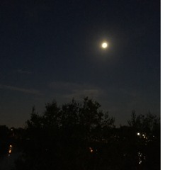 i've never been to new york (en vivo)