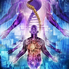 Trance 2024