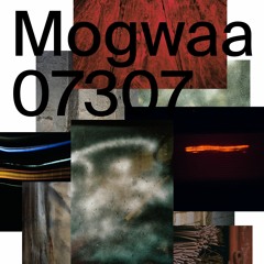 Mogwaa 07307 (snippets)