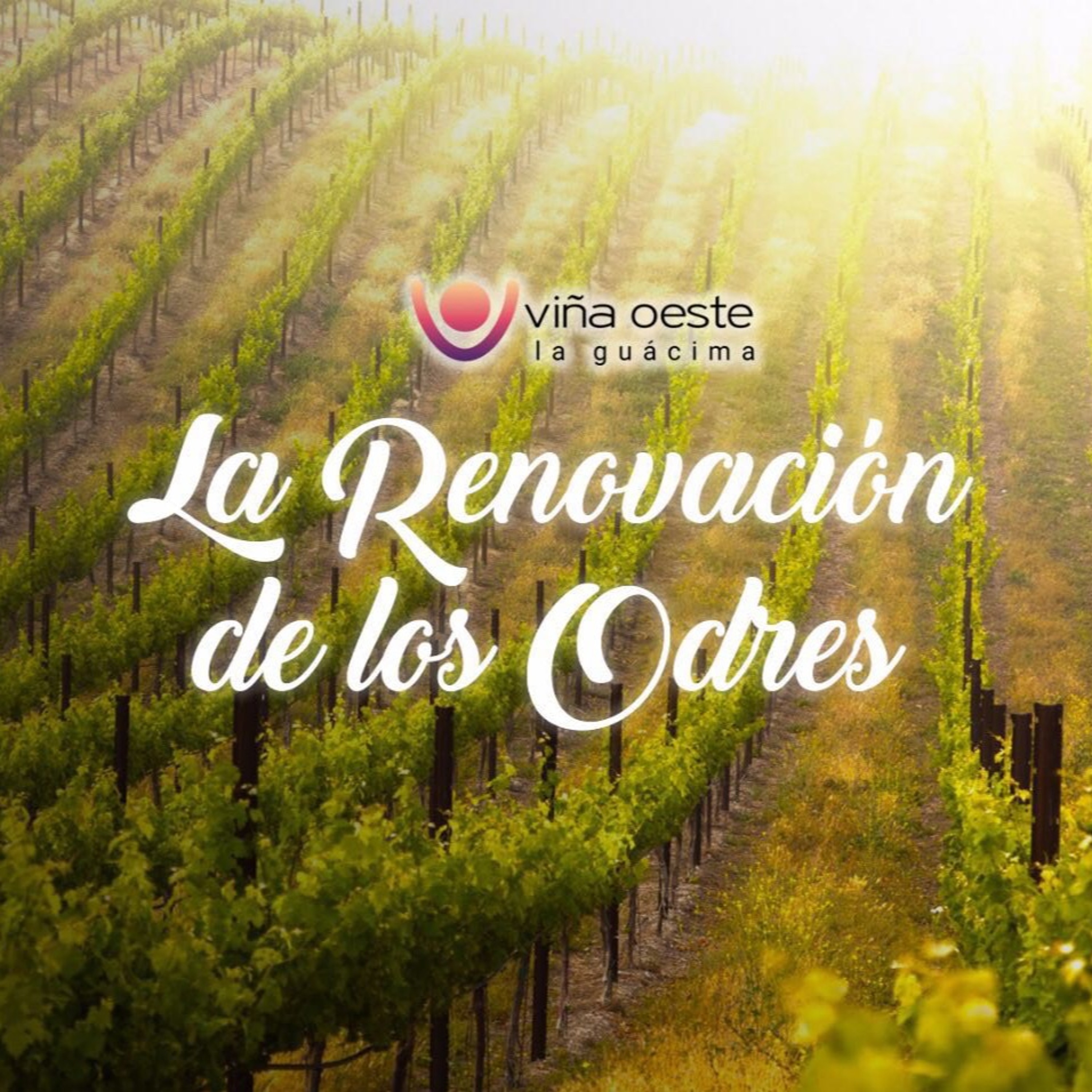 23-06-2018 - Charla - La renovación de los odres - Ronald Steinvorth episode artwork