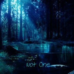 "Not One" - Andre Robert Cobbs*(ARC) feat. Morgan Bronner Prod. by {AR Company ENT}.