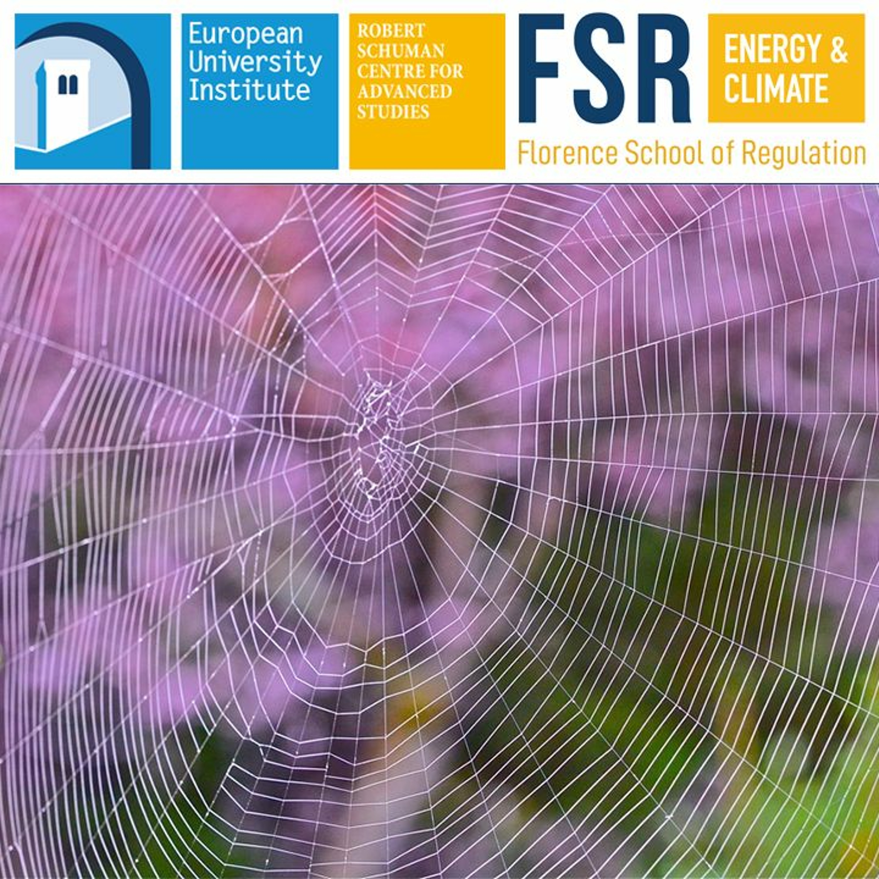 Capacity Withdrawals in Electricity Wholesale Markets – Competition & Regulation │ P. Tsangaris episode artwork