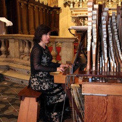 Un organo unico per il concerto di martedì a San Sebastiano Curone